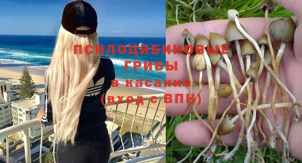 шишки Алексеевка