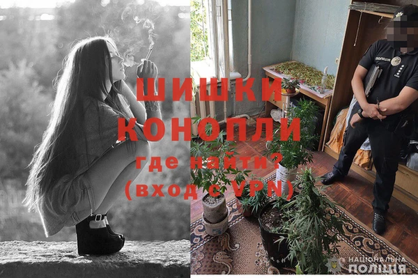 шишки Алексеевка