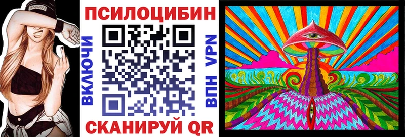 купить  цена  Сосновоборск  Псилоцибиновые грибы мицелий 